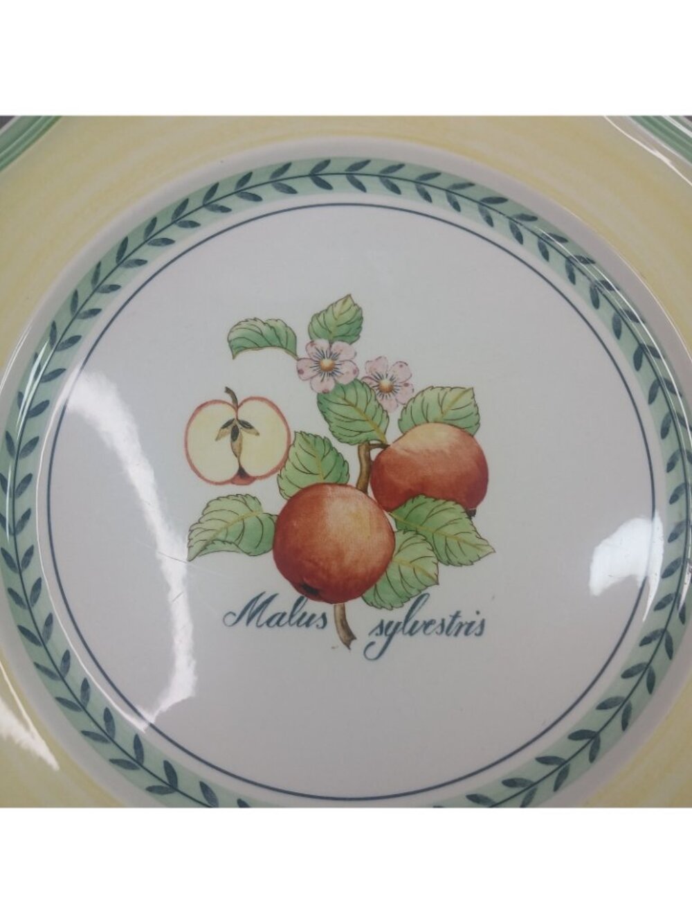 Villeroy & Boch French Garden Valence 2 Dinner Plates Vitro Porcelain - Picture 8 of 16